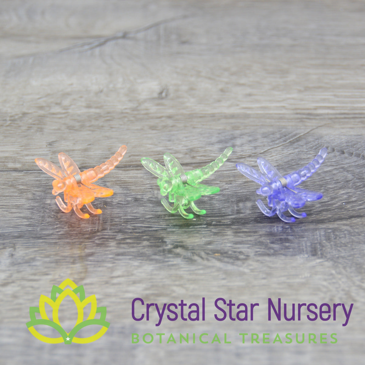 Dragonfly Plant Clips