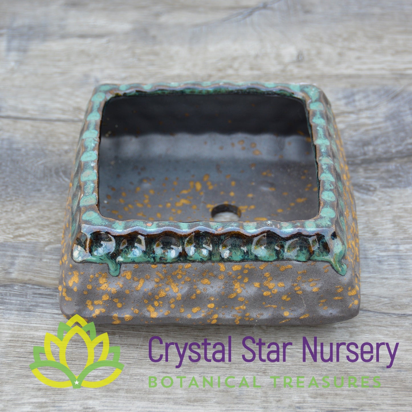 Gold and Teal Ceramic Pot Collection