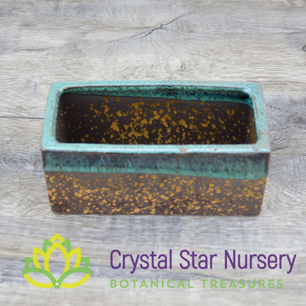 Gold and Teal Ceramic Pot Collection