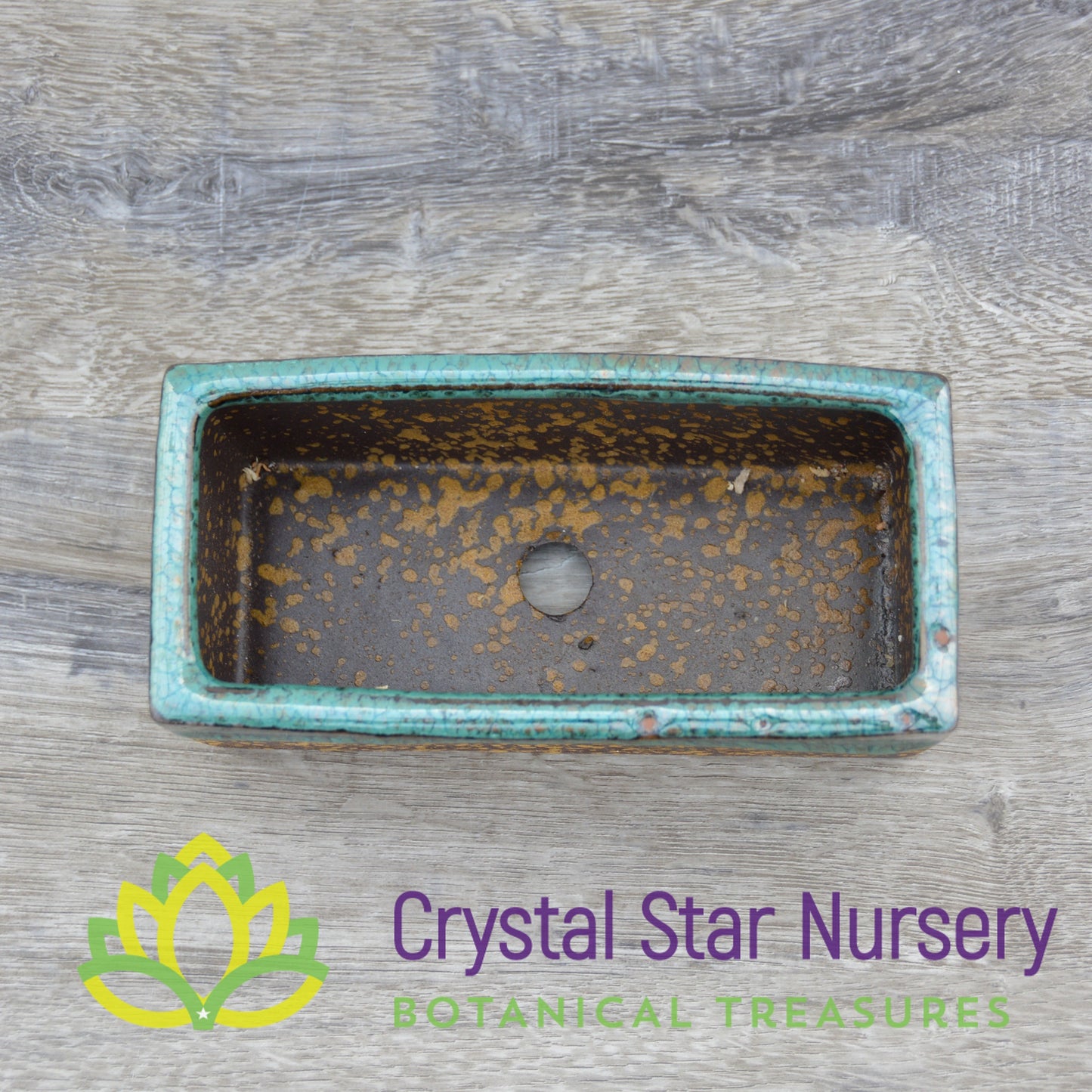 Gold and Teal Ceramic Pot Collection