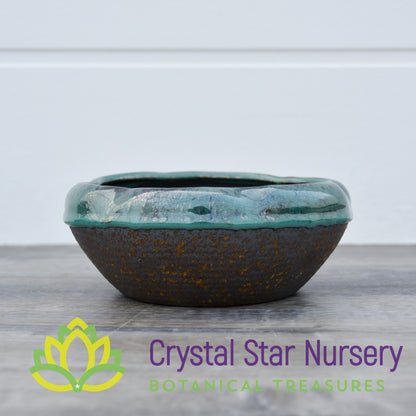 Gold and Teal Ceramic Pot Collection