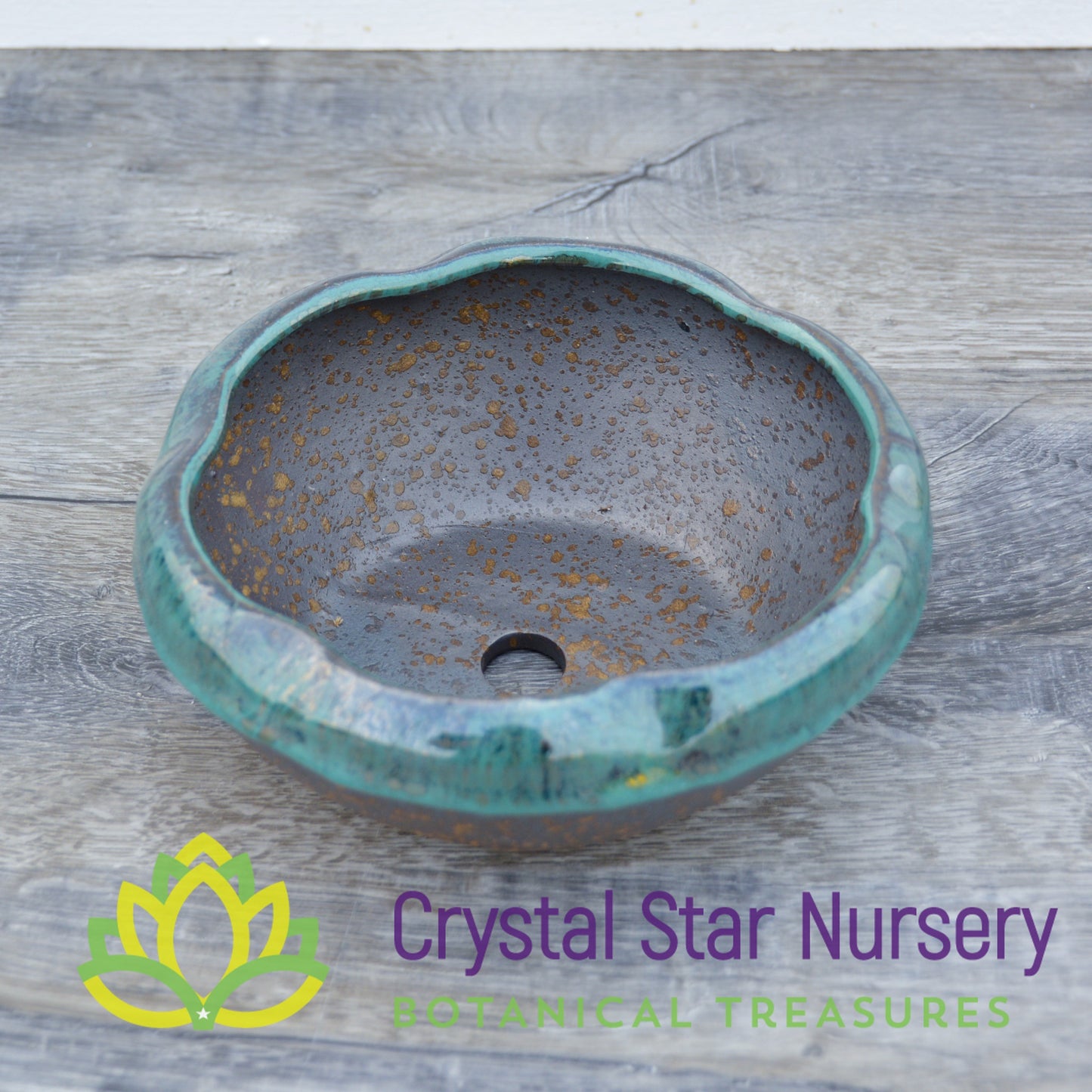 Gold and Teal Ceramic Pot Collection