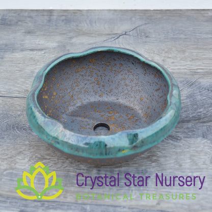 Gold and Teal Ceramic Pot Collection