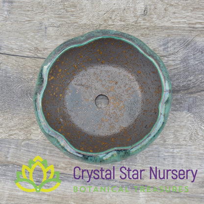 Gold and Teal Ceramic Pot Collection
