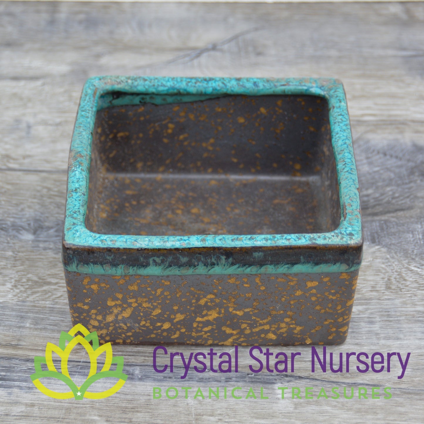 Gold and Teal Ceramic Pot Collection