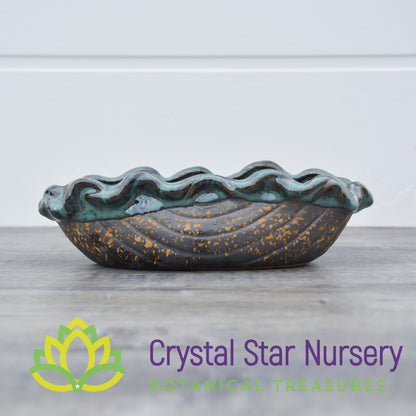 Gold and Teal Ceramic Pot Collection