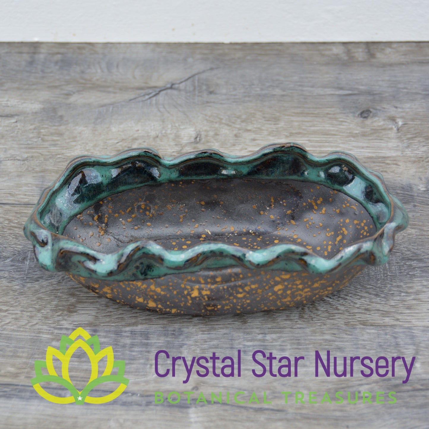 Gold and Teal Ceramic Pot Collection