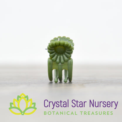 Green Plant Clips