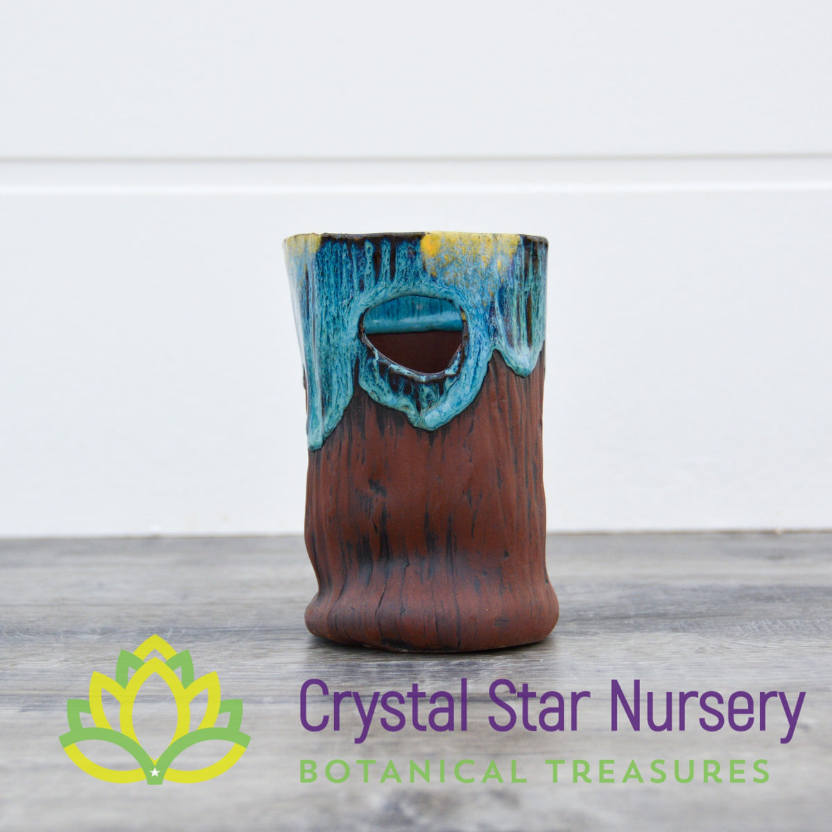 Handmade Peek-a-Boo Stump Ceramic Pot