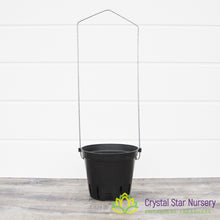 Round Pot with Trellis