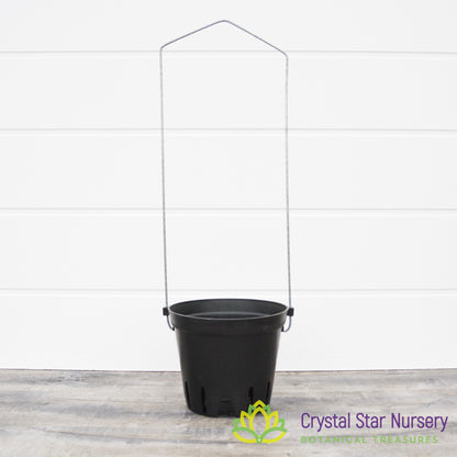Round Pot with Trellis