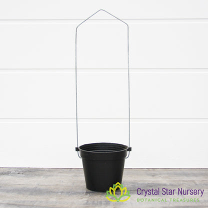 Round Pot with Trellis