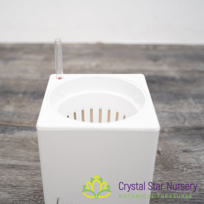 Self Watering Pot with Water Level Indicator