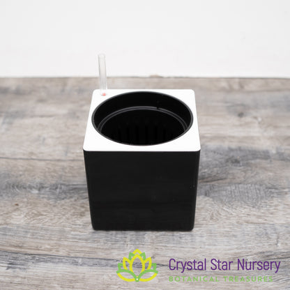 Self Watering Pot with Water Level Indicator