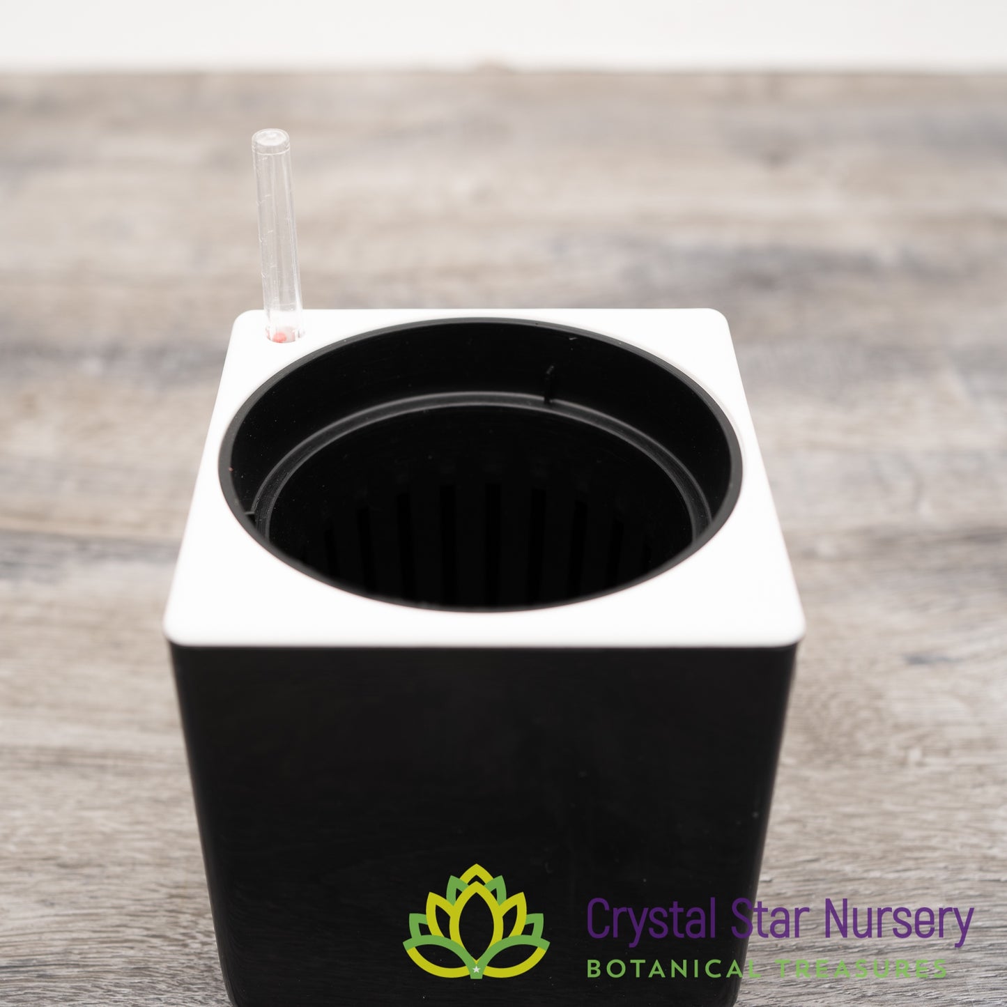 Self Watering Pot with Water Level Indicator