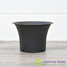 Short Round Hard Plastic Pot with Flare Top