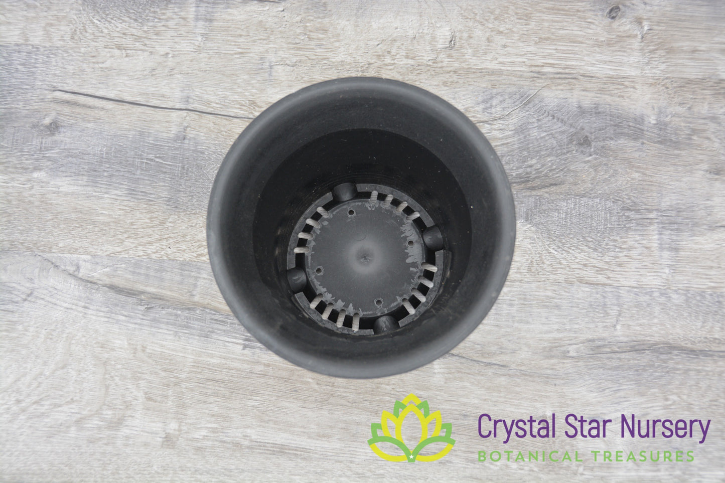 Short Round Hard Plastic Pot with Flare Top