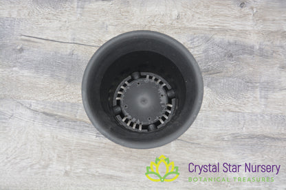 Short Round Hard Plastic Pot with Flare Top