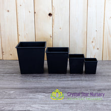 Square Plastic Pot