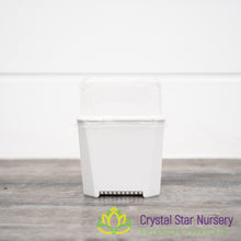 Square Pot with Dome Cover