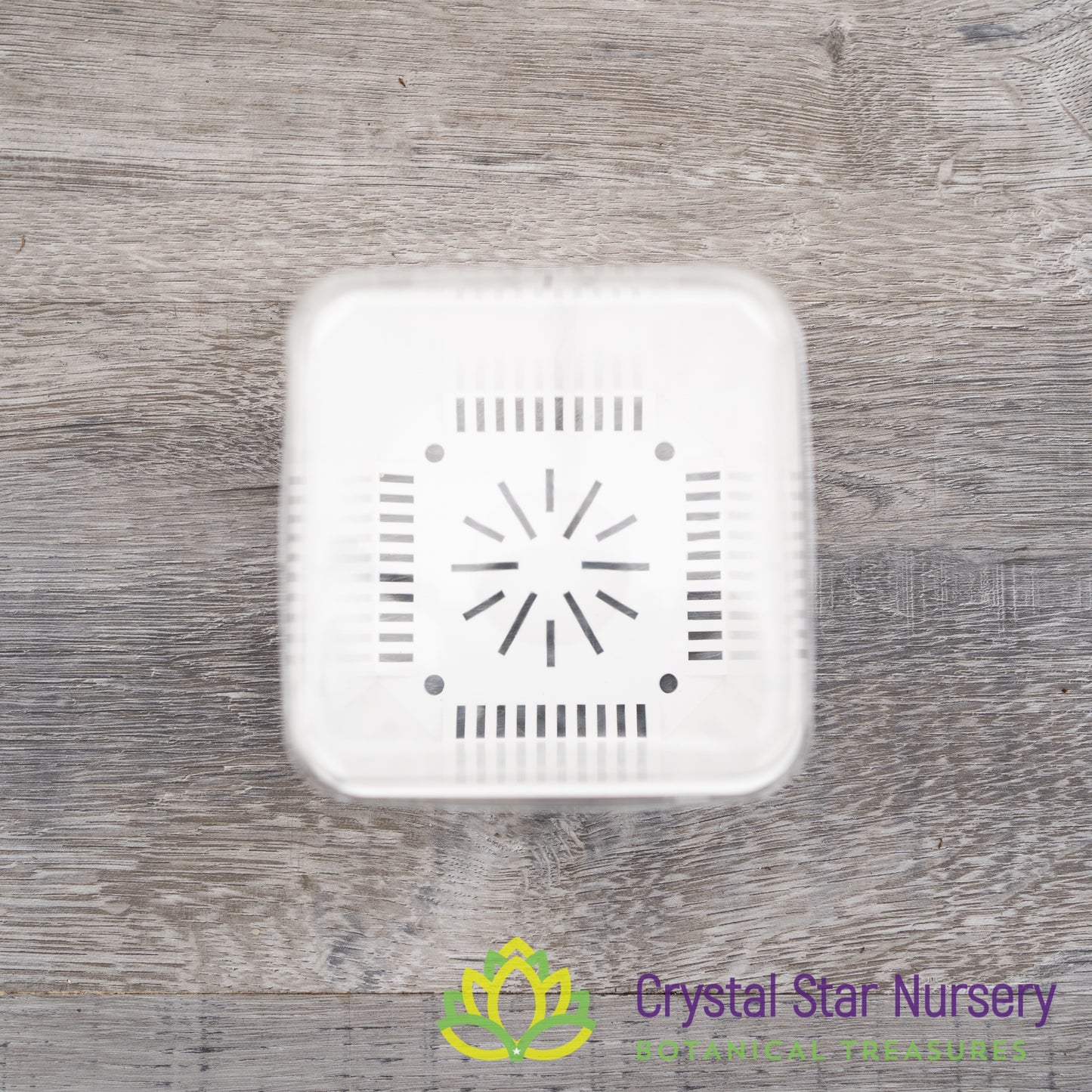 Square Pot with Dome Cover