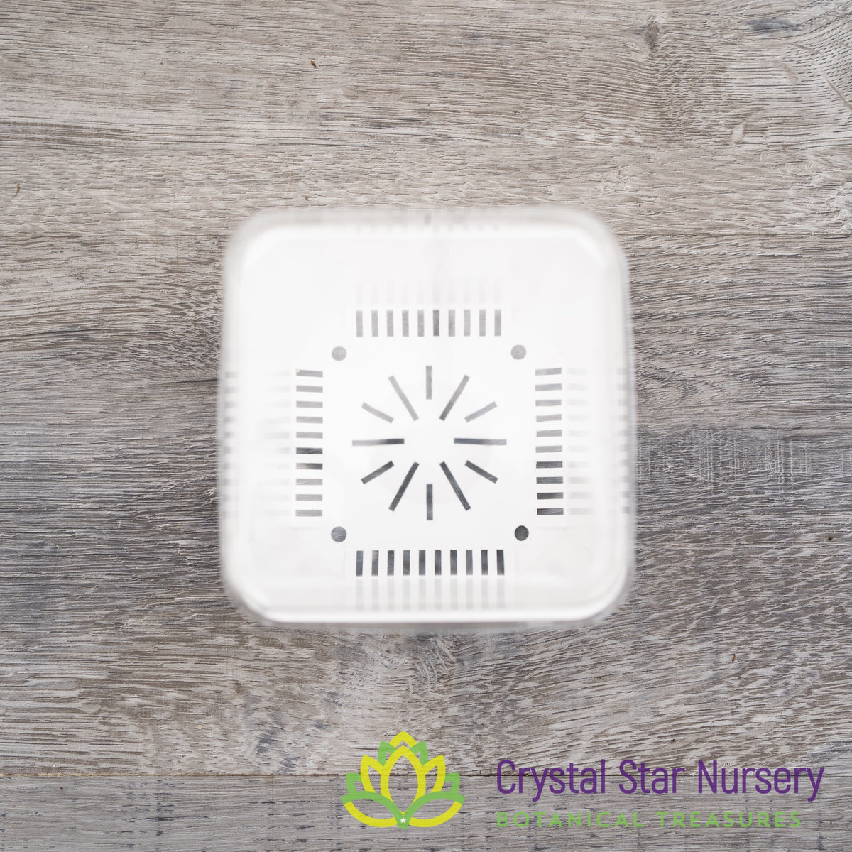 Square Pot with Dome Cover