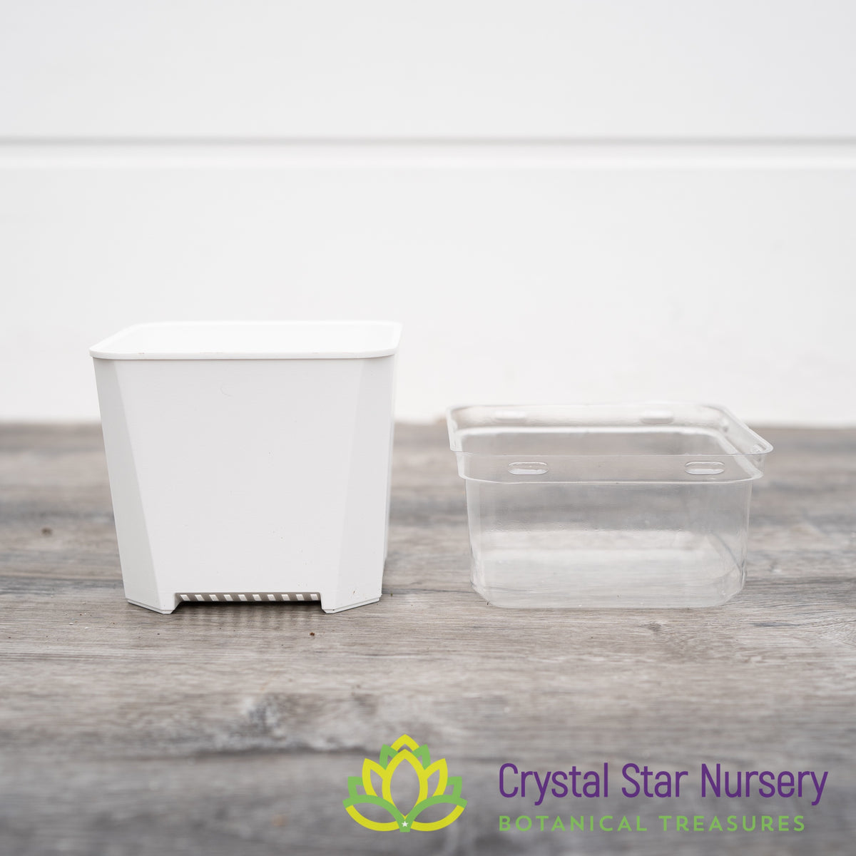 Square Pot with Dome Cover