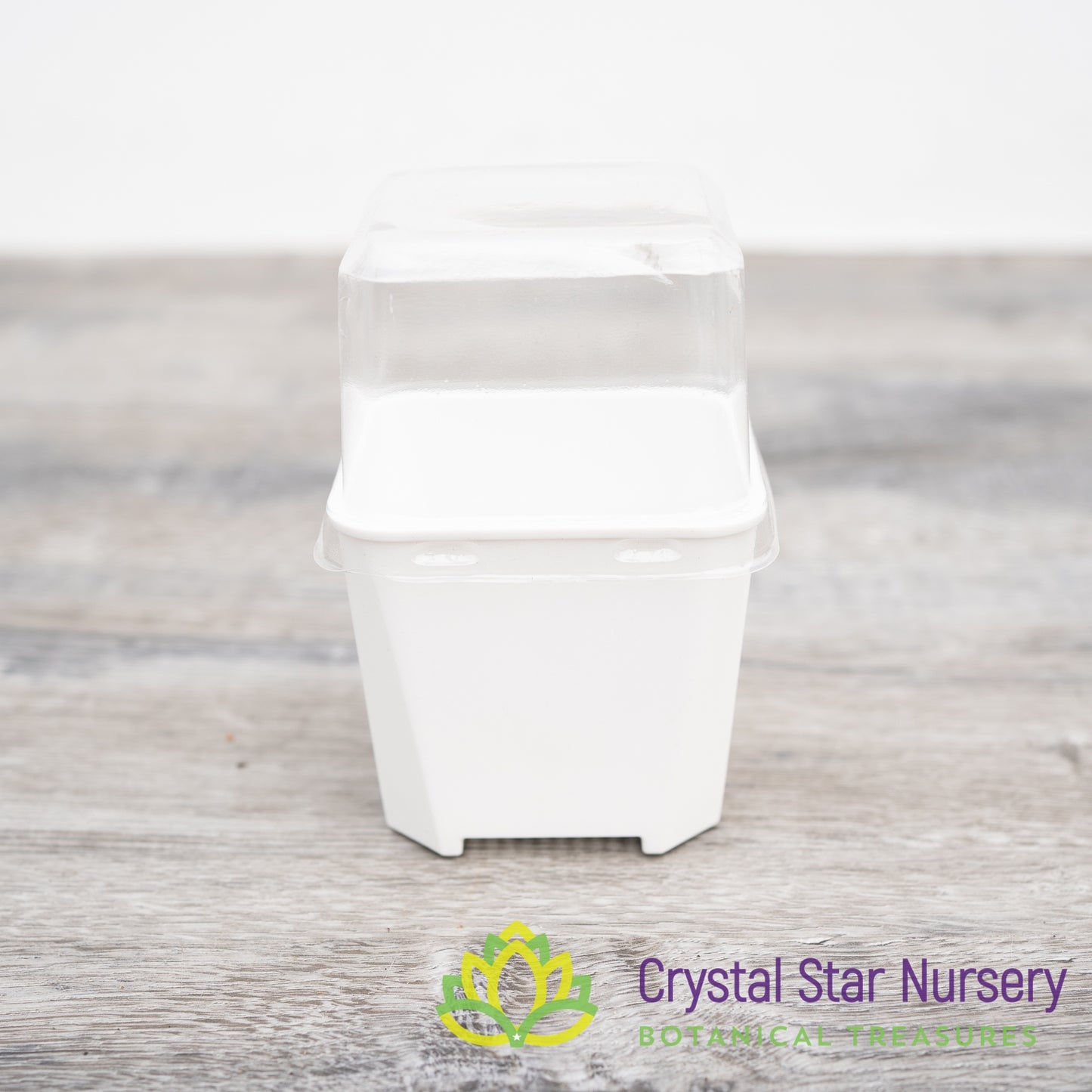 Square Pot with Dome Cover