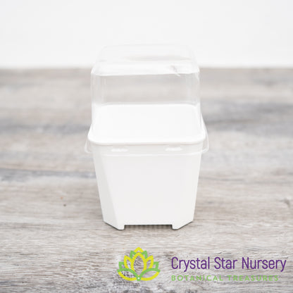 Square Pot with Dome Cover