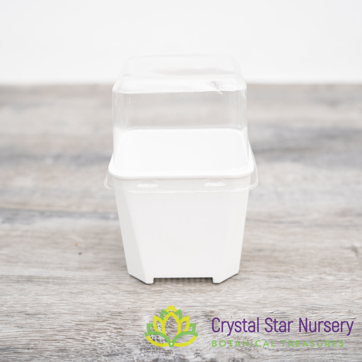Square Pot with Dome Cover