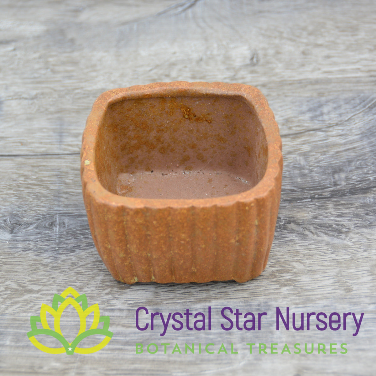 Square Ribbed Ceramic Pot - Crystal Star Nursery