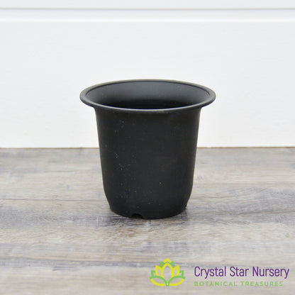 Tall Round Hard Plastic Pot with Flare Top