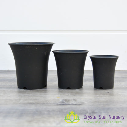 Tall Straight Hard Plastic Pot