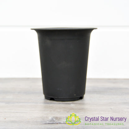 Tall Straight Hard Plastic Pot with Flare Top