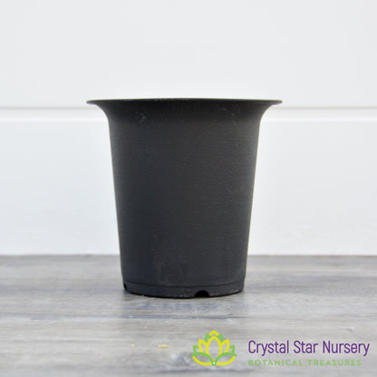 Tall Straight Hard Plastic Pot with Flare Top