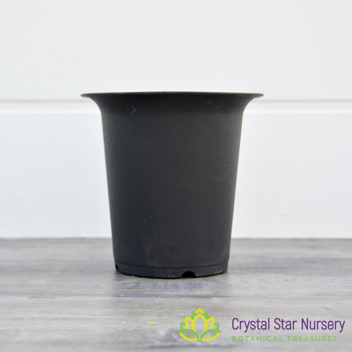 Tall Straight Hard Plastic Pot with Flare Top