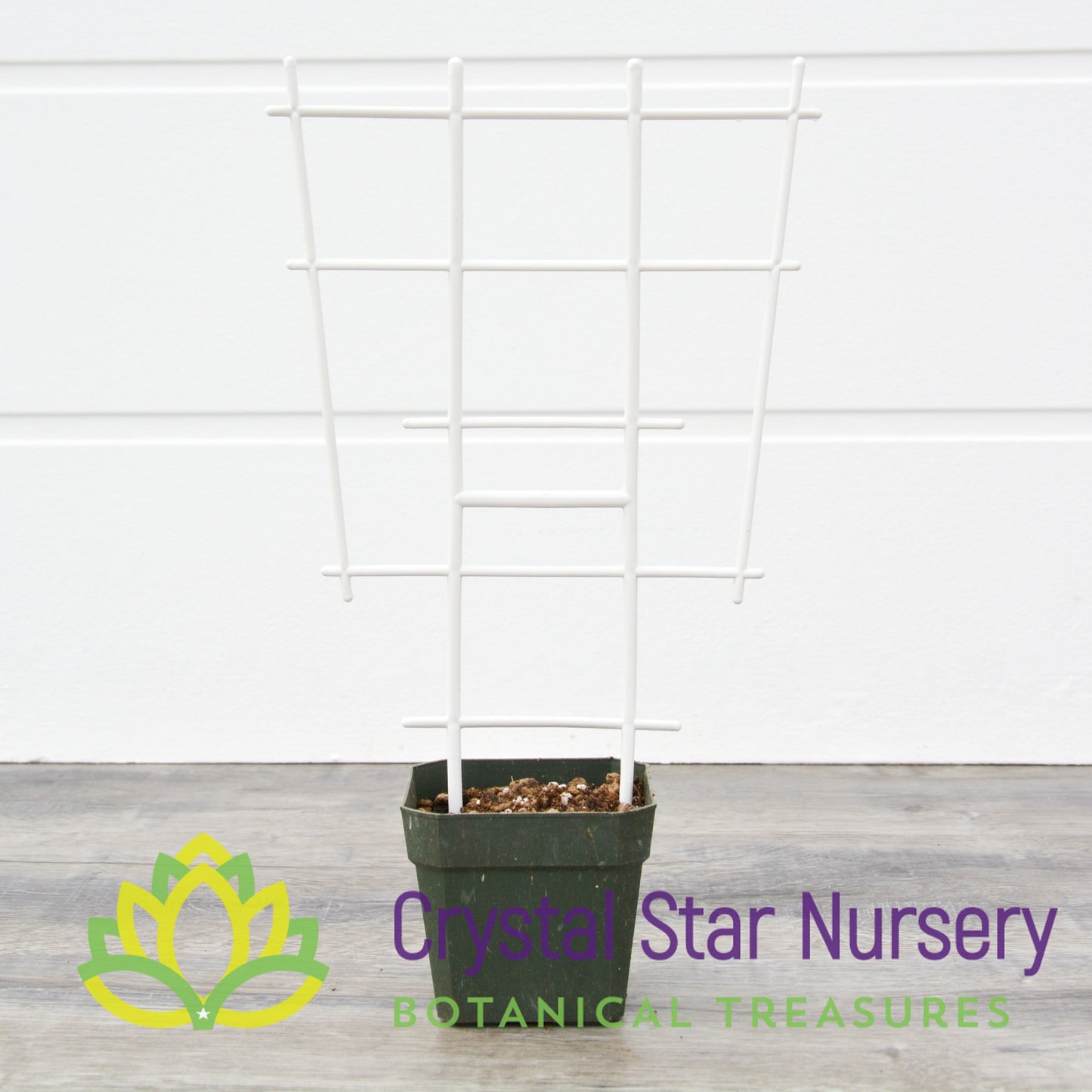White Plastic Trellis