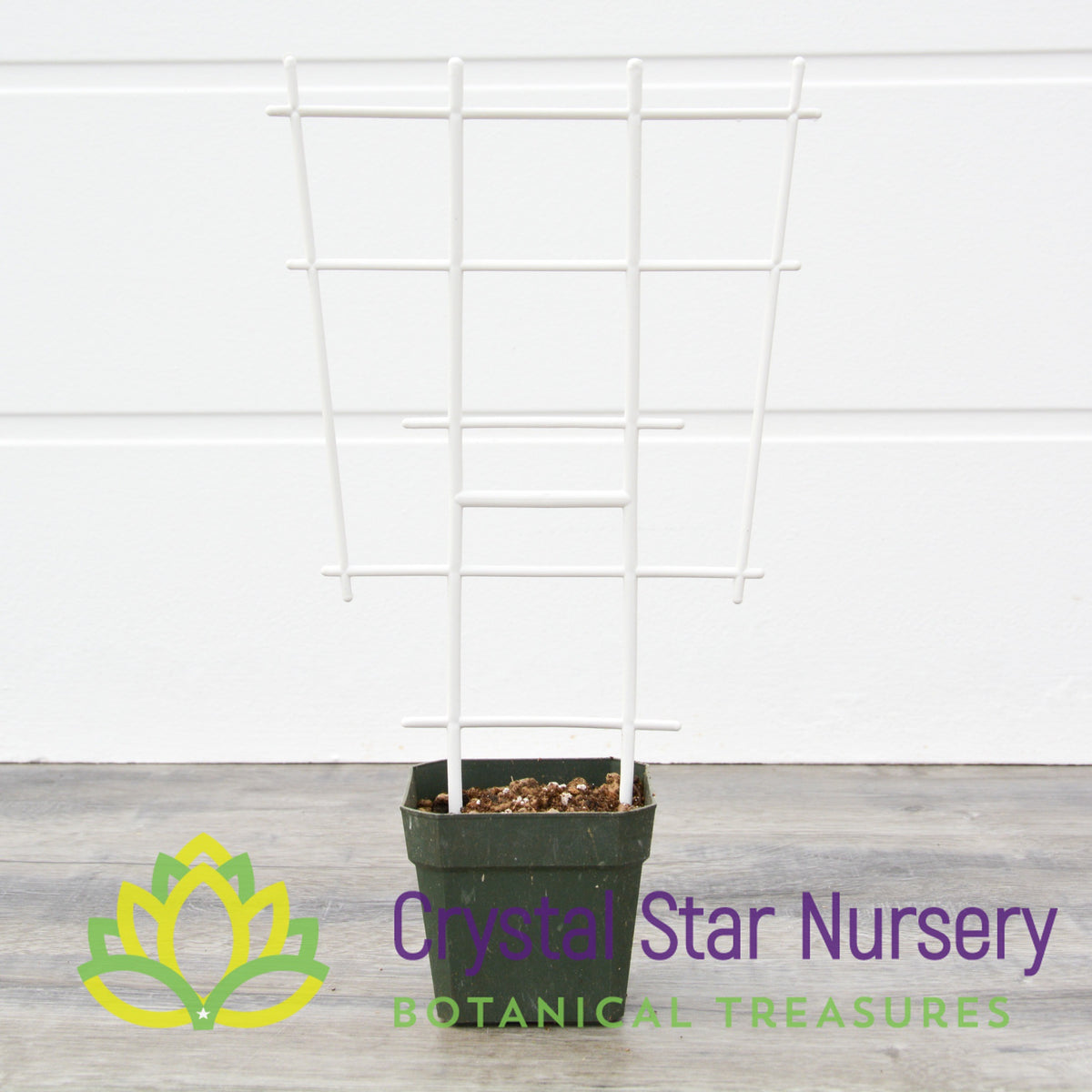 White Plastic Trellis