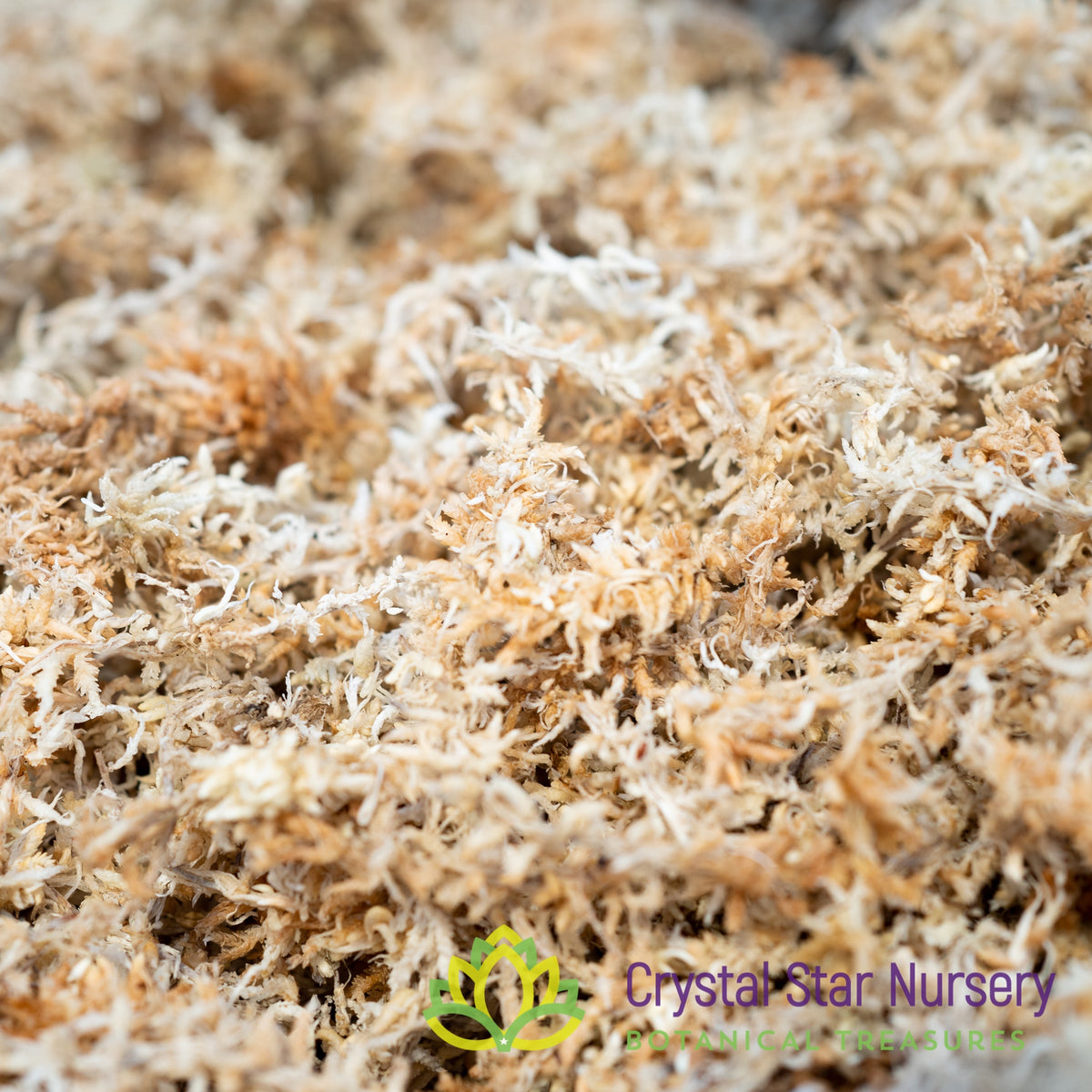 One Mile Sphagnum Moss